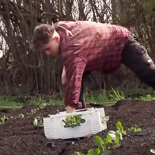 SWR Landesschau SWR Landesschau